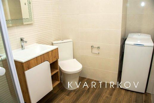 Beautiful 1 bedroom apartment, Odessa - apartment by the day