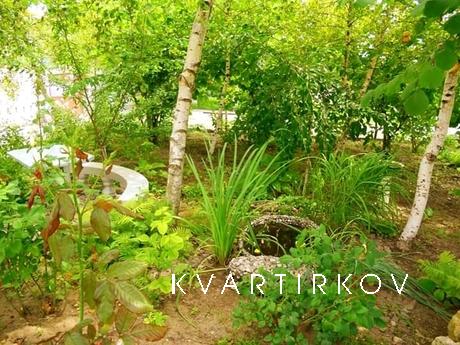 Rent a house in the center, Skadovsk - apartment by the day