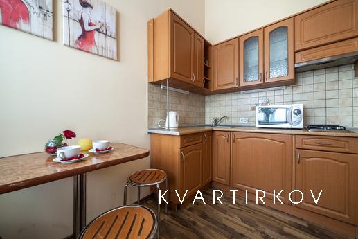 Great apartment near opera house, Lviv - apartment by the day