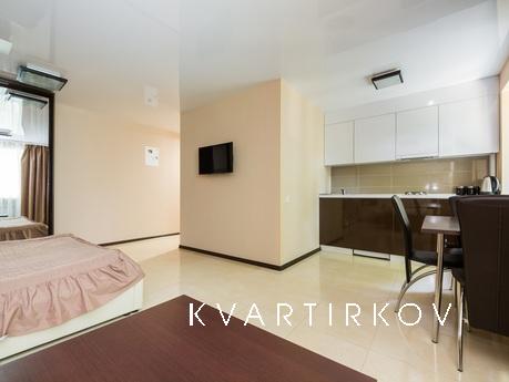 New renovated studio in the center, Kharkiv - apartment by the day