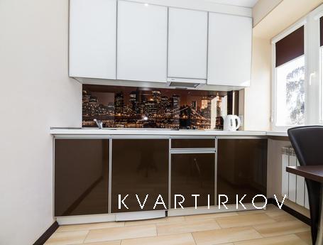 Modern apartment in the center, Kharkiv - apartment by the day