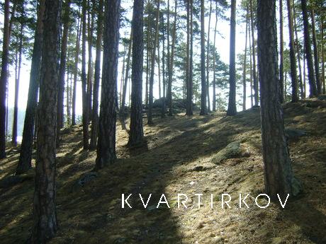 1-комнатная на оз.Тургояк сдаю посуточно, Миасс - квартира посуточно