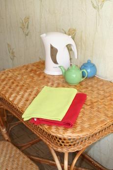 Уютная квартира в самом центре, Wi-Fi, Екатеринбург - квартира посуточно