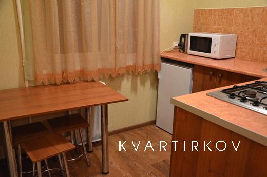 Daily rent hourly 1st, Kremenchuk - apartment by the day