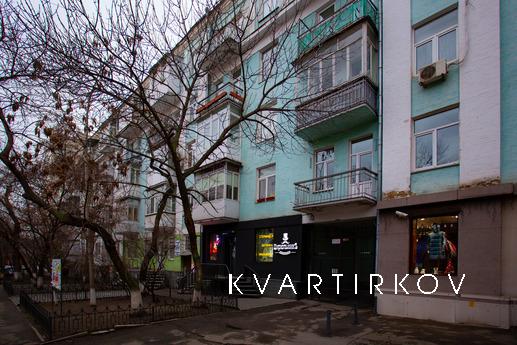 Cozy apartment near Olympic metro statio, Kyiv - apartment by the day