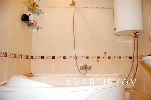 In a large apartment Mayakovskaya, Saint Petersburg - apartment by the day