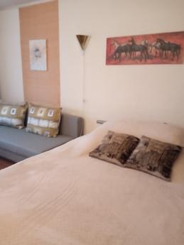 Apartment for rent in Kaliningrad, Kaliningrad - apartment by the day