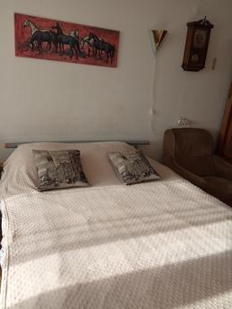 Apartment for rent in Kaliningrad, Kaliningrad - apartment by the day