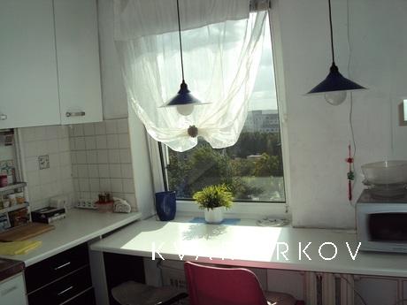 I rent one room apartment in economy class Kaliningrada.S ce