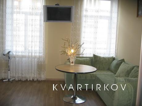 Cozy apartment in the center., Lviv - apartment by the day
