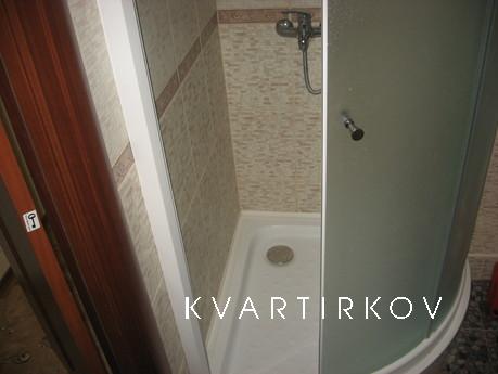 1-bedroom apartment in the center, Zaporizhzhia - apartment by the day