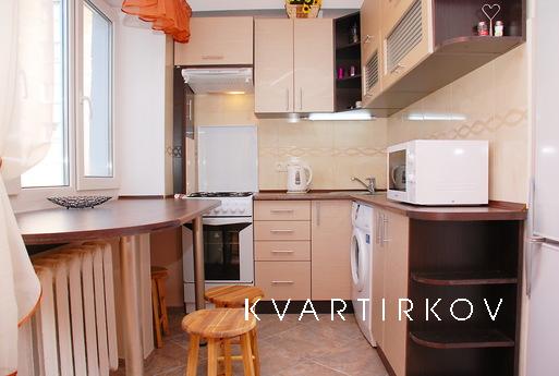 Cozy apartment in downtown, Kyiv - apartment by the day
