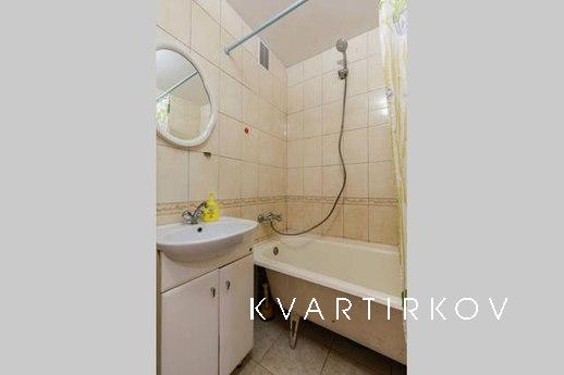 Large apartment for company, Saint Petersburg - apartment by the day