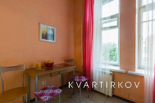 Large apartment for company, Saint Petersburg - apartment by the day