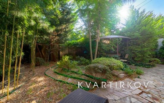 Здам свій будинок в Аркадії на березі мо, Одеса - квартира подобово