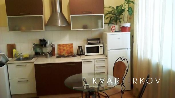 Center, renovation, WiFi, documents, Vinnytsia - apartment by the day