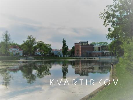 I rent one room apartment, Калінінград - квартира подобово