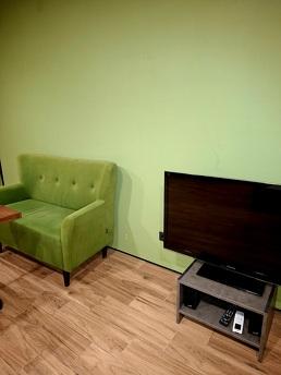 Green hourse у центрі Ірпіня, Кривий Ріг - квартира подобово