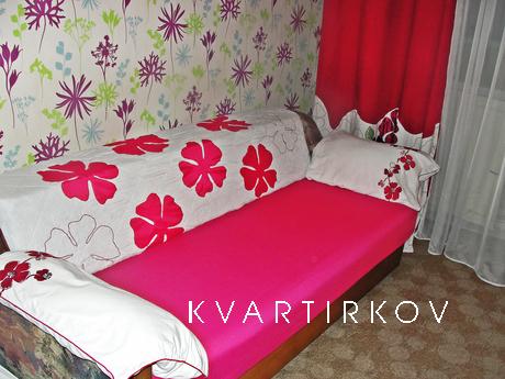 Cozy apartment for rent, Kyiv - apartment by the day