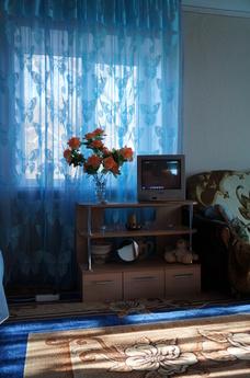 1ком квартира в центре города,есть все необходимое для комфо