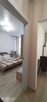 Comfortable apartment with a pleasant au, Kyiv - apartment by the day