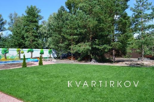 Renting a house with a swimming pool, sa, Kyiv - apartment by the day