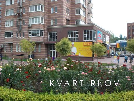 Center, 1 . The bus station, all, Kyiv - apartment by the day