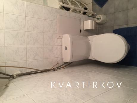 Author 2 room apartment, 5 min Train Sta, Kyiv - apartment by the day