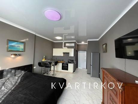 Luxurious studio at the Delmar residenti, Kyiv - apartment by the day