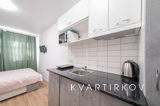 Daily cozy studio apartment, Kyiv - apartment by the day