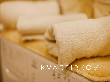 1 bedroom apartment for rent, Tyumen - apartment by the day