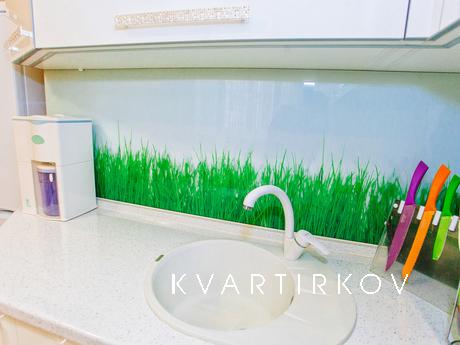 1 bedroom apartment for rent, Tyumen - apartment by the day