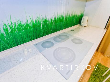 1 bedroom apartment for rent, Tyumen - apartment by the day