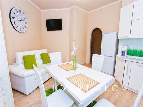 1 bedroom apartment for rent, Tyumen - apartment by the day