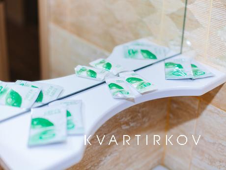 1 bedroom apartment for rent, Tyumen - apartment by the day