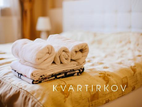 1 bedroom apartment for rent, Tyumen - apartment by the day