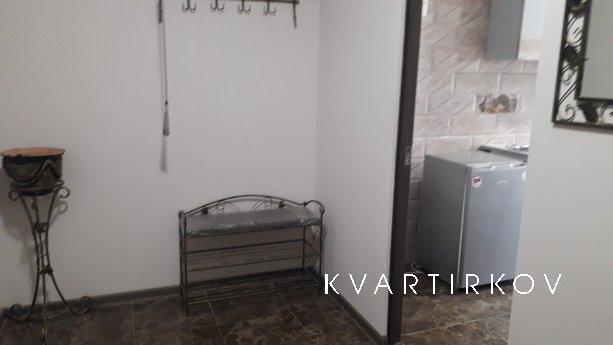Svitla and spacious apartment near Trusk, Truskavets - apartment by the day