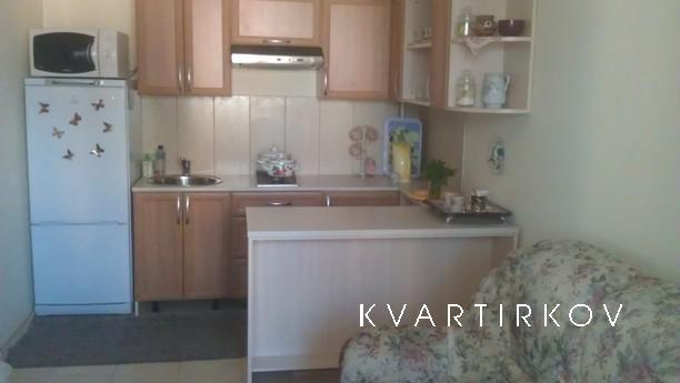 We offer a decent, low-cost flat in Kiev for Euro 2012 guest