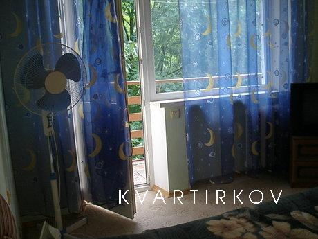 1 bedroom apartment for rent, Chernivtsi - apartment by the day