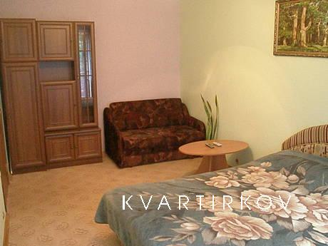 1 bedroom apartment for rent, Chernivtsi - apartment by the day