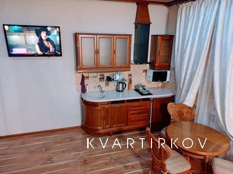 Cozy studio apartment a step from the me, Kharkiv - apartment by the day