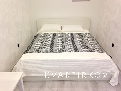 2-bedroom apartment is a standard class, Yekaterinburg - apartment by the day