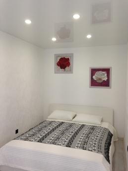 2-bedroom apartment is a standard class, Yekaterinburg - apartment by the day