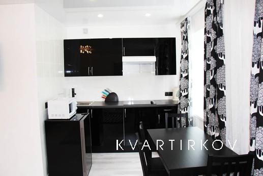 2-bedroom apartment is a standard class, Yekaterinburg - apartment by the day