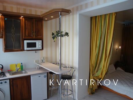 1BR apartment in the historic center, Odessa - apartment by the day