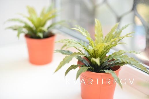 1к. кв-ра в самом ЦЕНТРЕ Екатеринбург, Екатеринбург - квартира посуточно