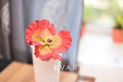 1к. кв-ра в самом ЦЕНТРЕ Екатеринбург, Екатеринбург - квартира посуточно