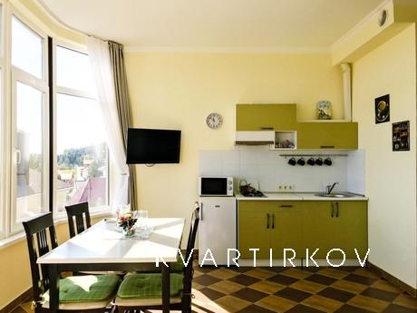 This spacious apartment of 45 square meters. m with a magnif