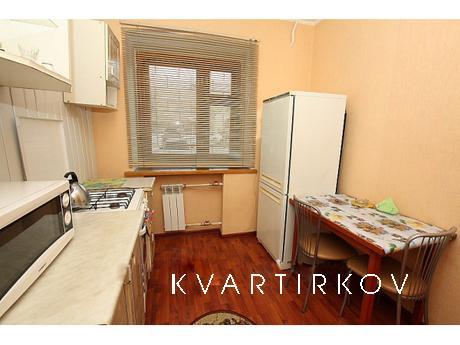 Район Ж/Д вокзал,Советский,Парк Пушкина., Челябинск - квартира посуточно