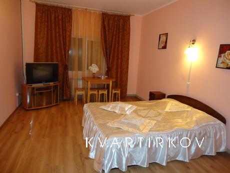 Urgent! Rent apartments in the New Year!, Boryspil - apartment by the day